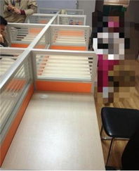 计算机及办公设备维修指南 从隔断办公桌到电脑的全面维护